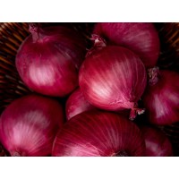 Onion