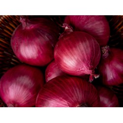 Onion Onion