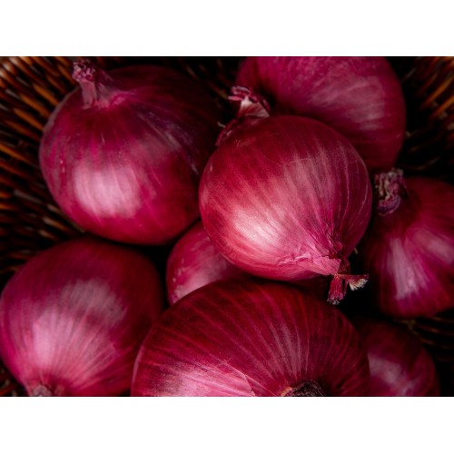Onion